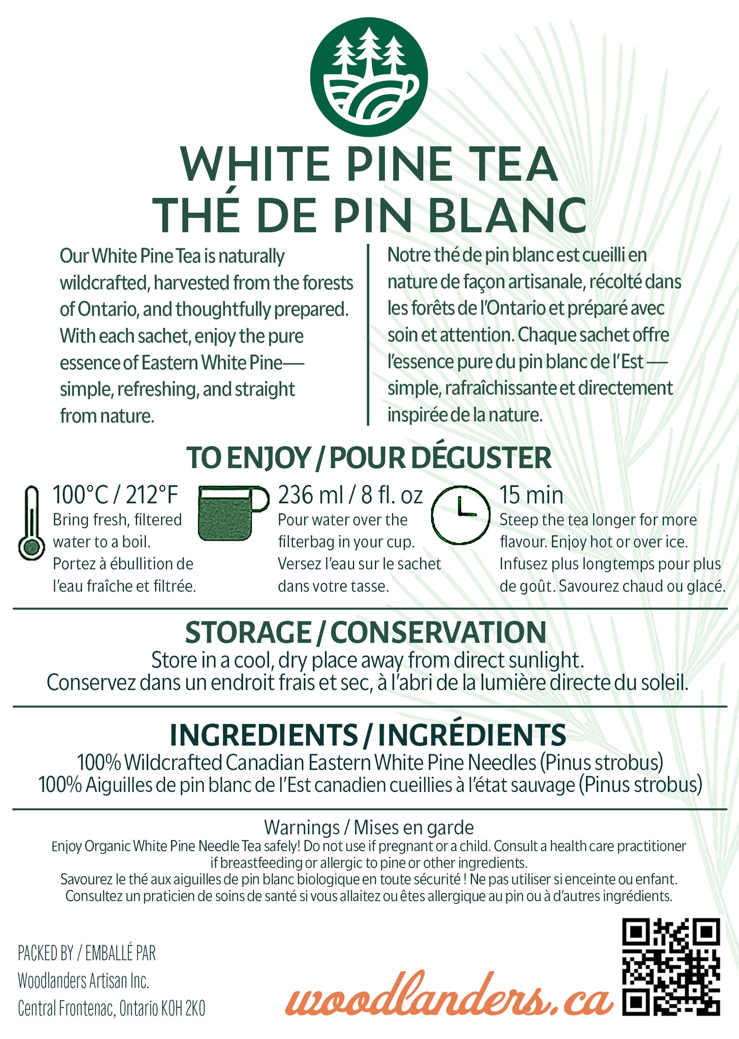 Naturally Air-Dried Eastern White Pine Tea Bags | Amazon Exclusive