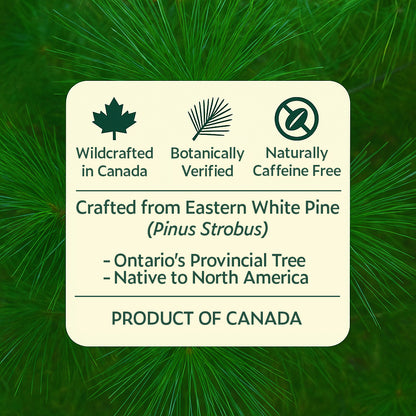 Naturally Air-Dried Eastern White Pine Tea Bags | Amazon Exclusive