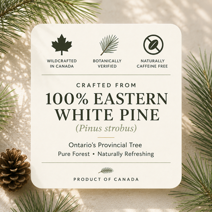 Naturally Air-Dried Eastern White Pine Tea Bags | Amazon Exclusive